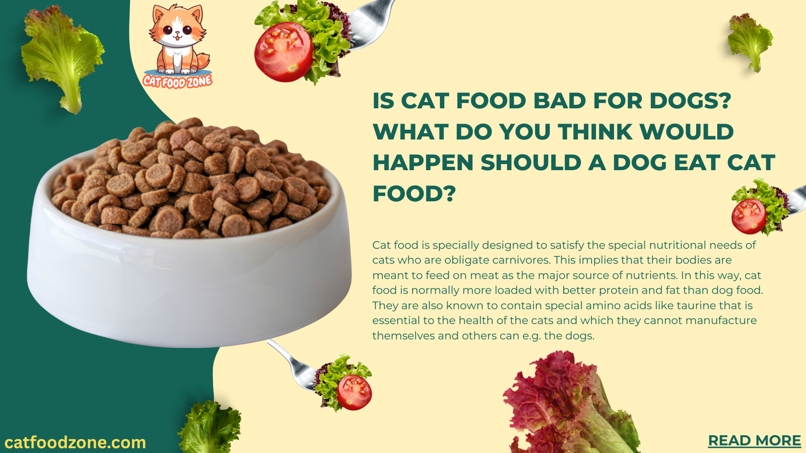 Is Cat Food Bad for Dogs?