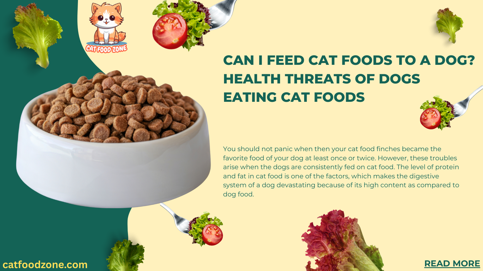 https://catfoodzone.com/