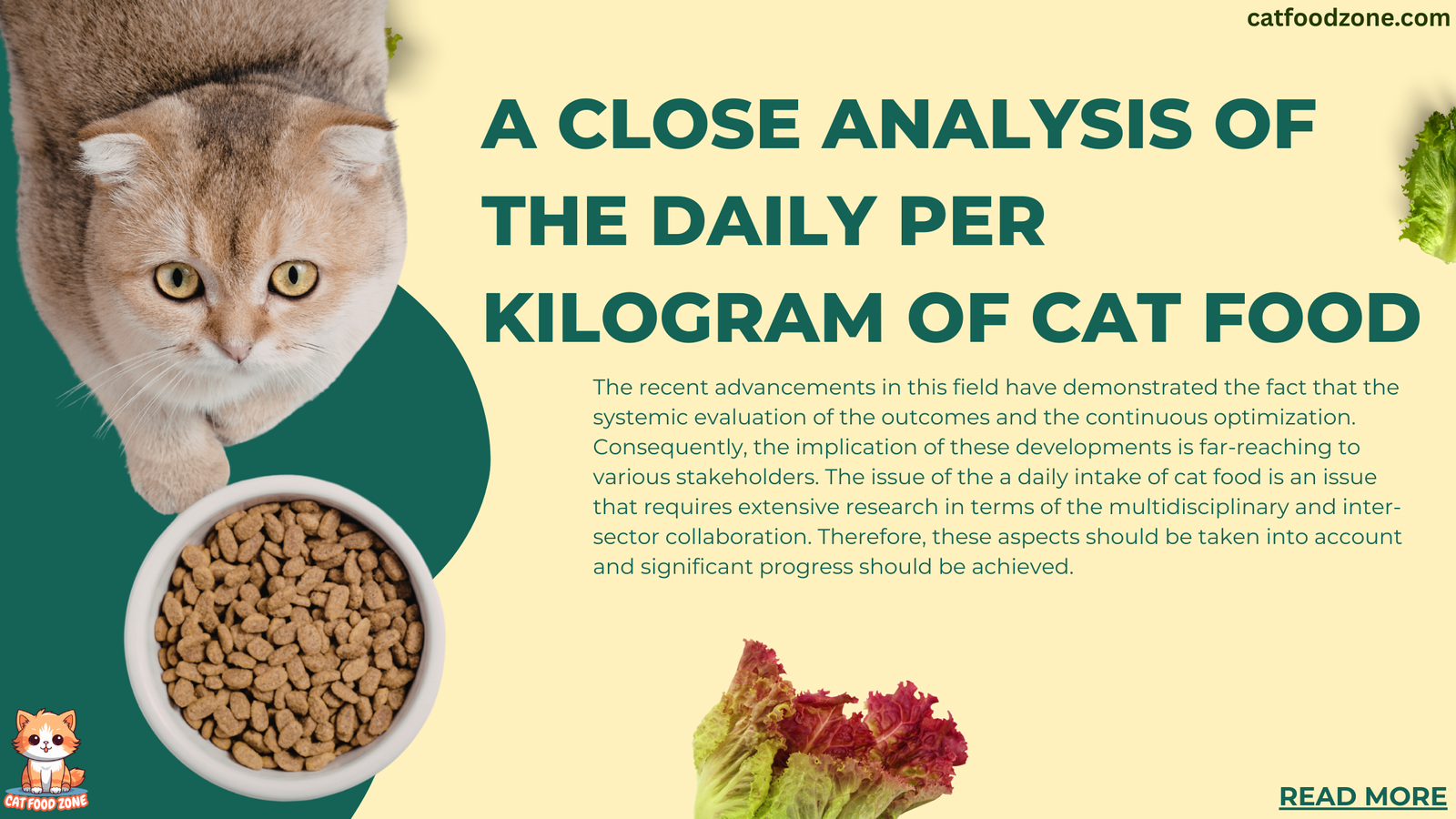 How much cat food per day